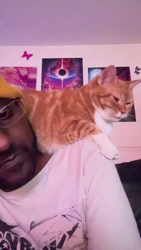 Is this normal? Why does she act like she paid the rent this month?