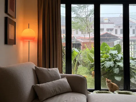 Cozy corner of my living room with a rainy garden view