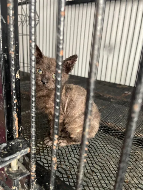 How it started vs how it’s going