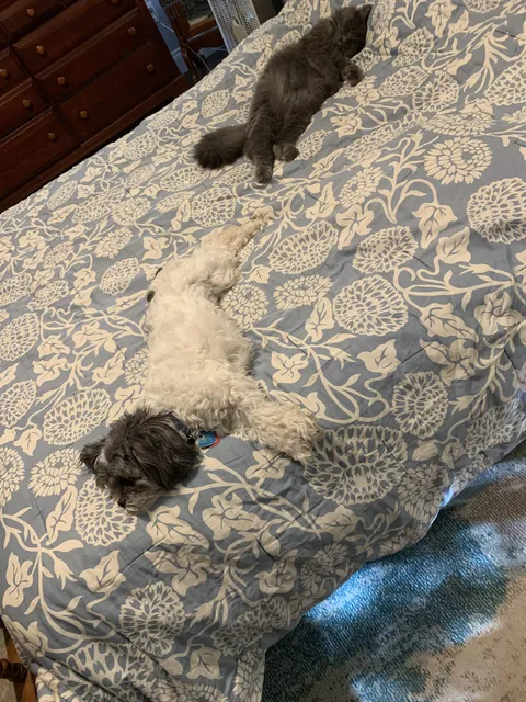 And where am I supposed to fit?