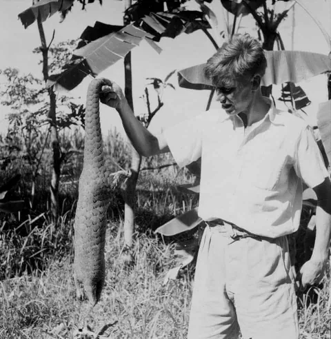 The first adventures photos of David Attenborough, in 1950s.