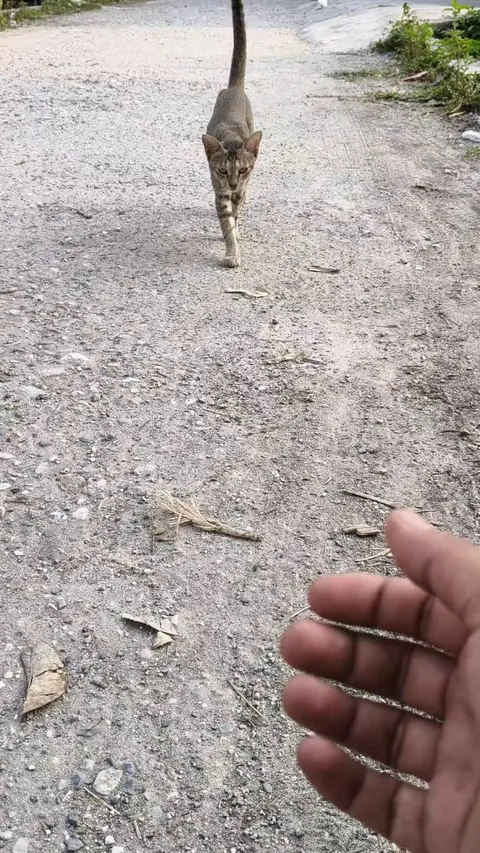 The absolute best reward for looking after our local street pack.