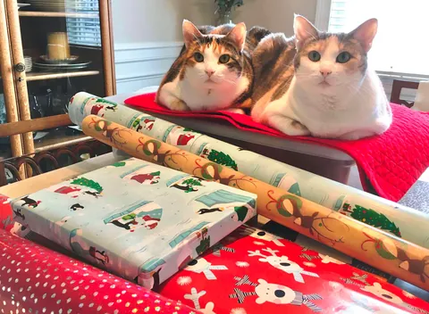 Gift wrap consultants. "We're here to help with the ribbon"