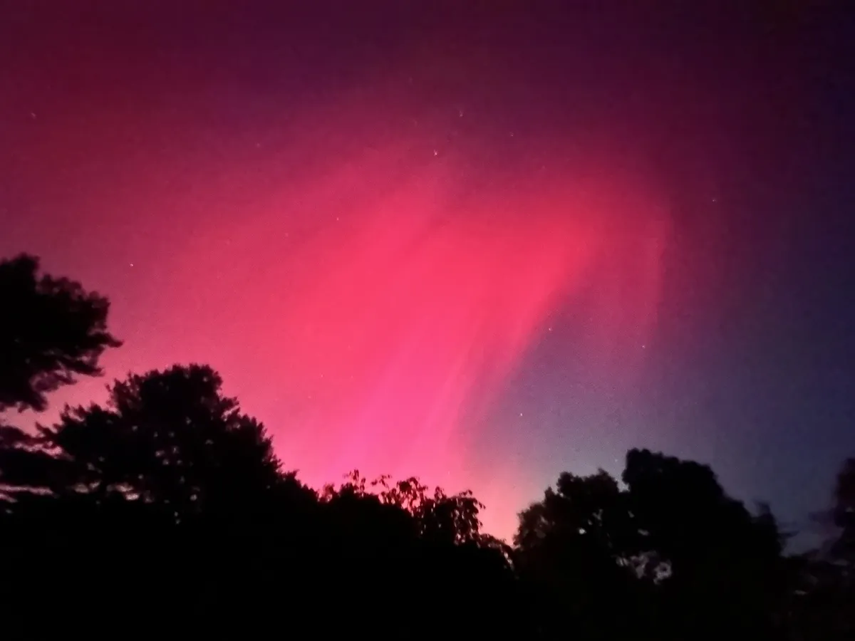 Experiencing this from New York feels illegal 