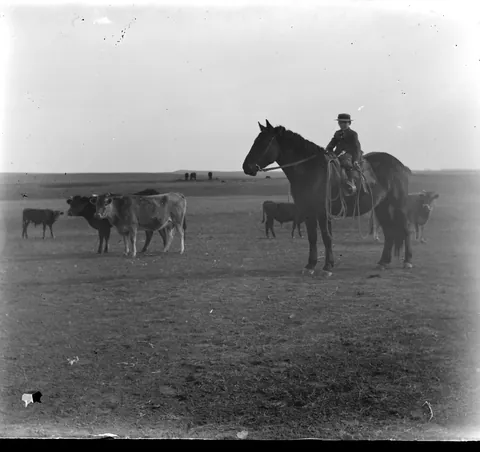 i have one final batch of dry plate negative scans to share