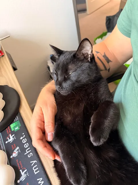 Does anyone else’s void love to be in their back?