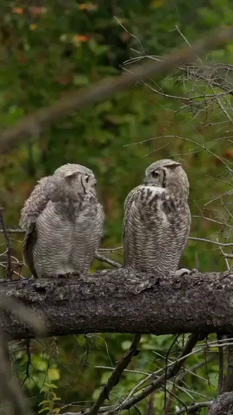 They're partners in life