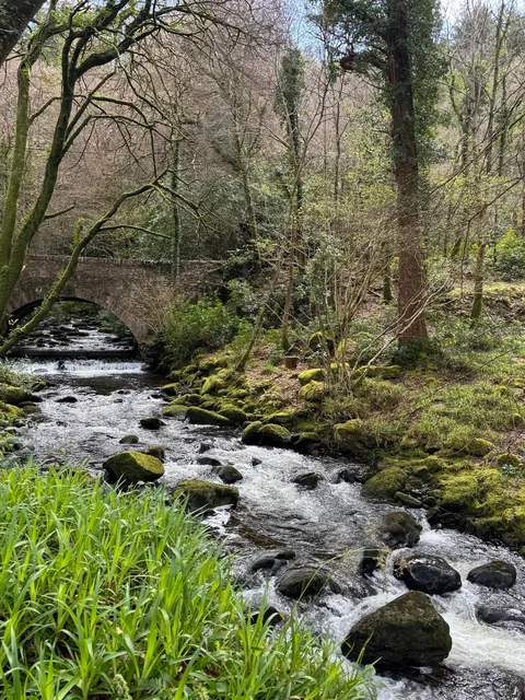 My trip to Ireland (Dublin, Killarney, and Galway)