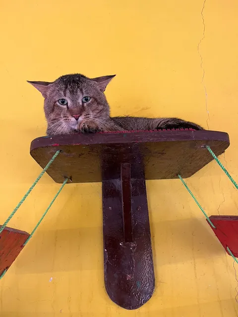 People asked for more photos of garage employees!