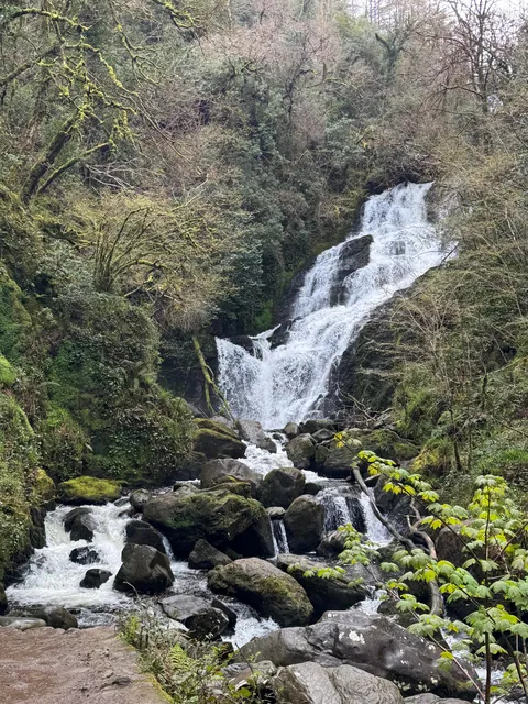 My trip to Ireland (Dublin, Killarney, and Galway)