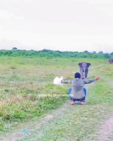 No matter the species, kids will be kids.