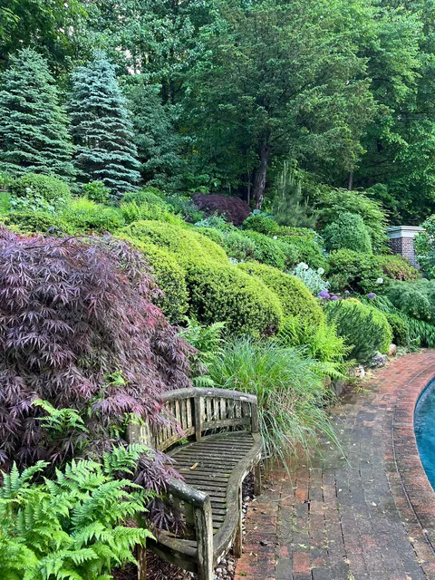 Photos of the backyard section of my mom's garden post-rain!