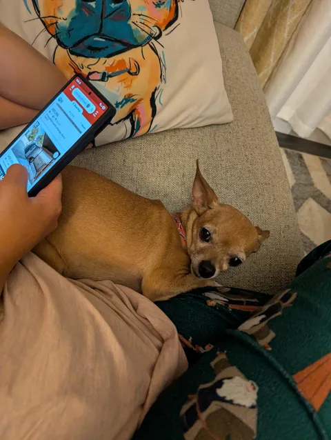 Bambi requested I post her this time