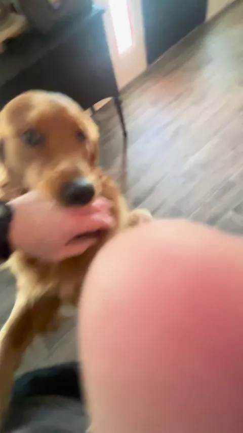 Mr. Magoo DOES NOT want me to go to work