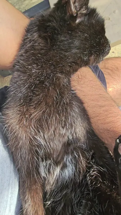 Last rays of sunshine before the rainbow for my boy