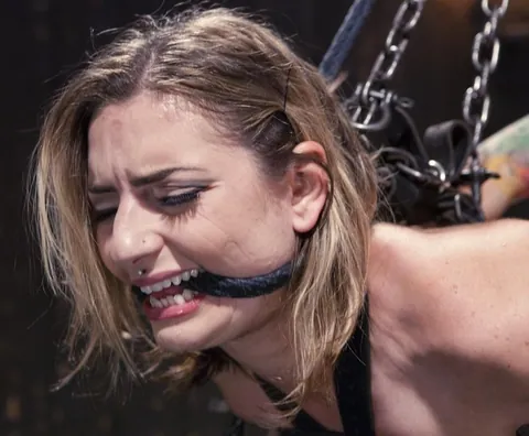 They are Playing with Missy Minks