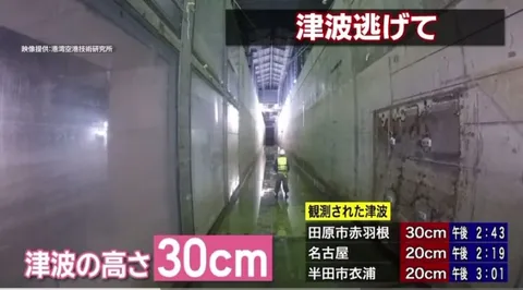 Male adult under a 30cm (12inch) wave.