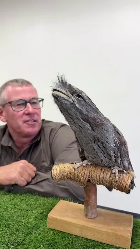 Such an interesting looking bird