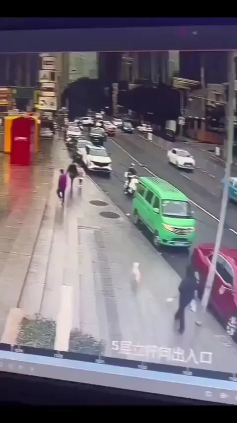 Long lost dog catches the scent of owner in a crowded square.