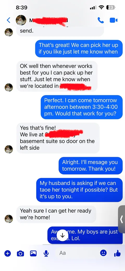 Update: I have the cat my student rehomed 3 years ago and thought had died.