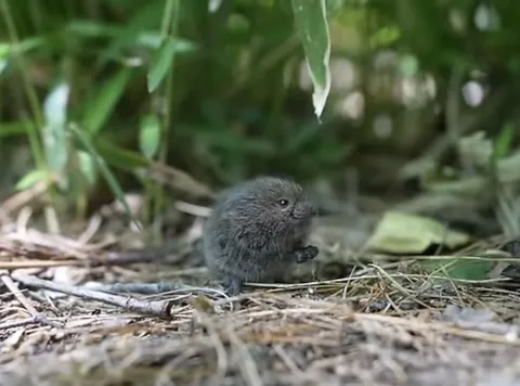 Found this guy while on a walk. I don’t know what this thing is, but I needed to share it.