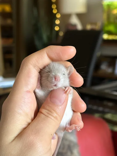 Small palate cleanser for your feed ♥️