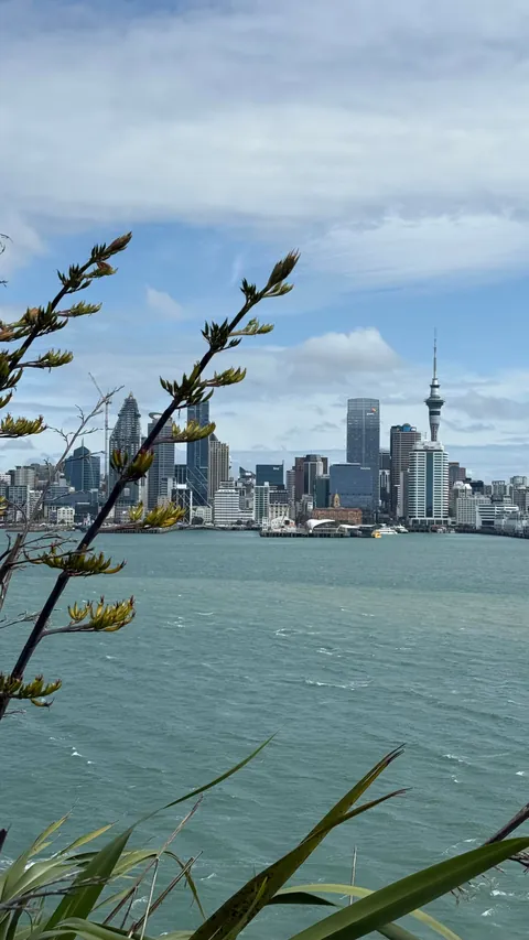 Very Recent Trip to New Zealand (Oct end) Jo