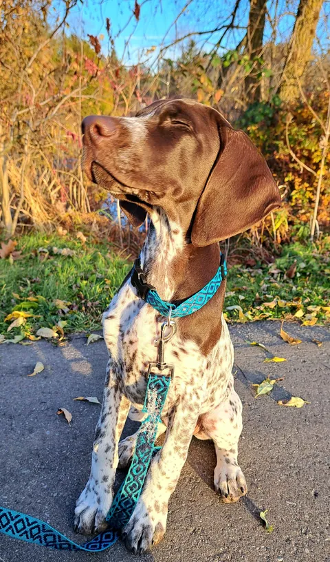 My boy Albert, at 3 months