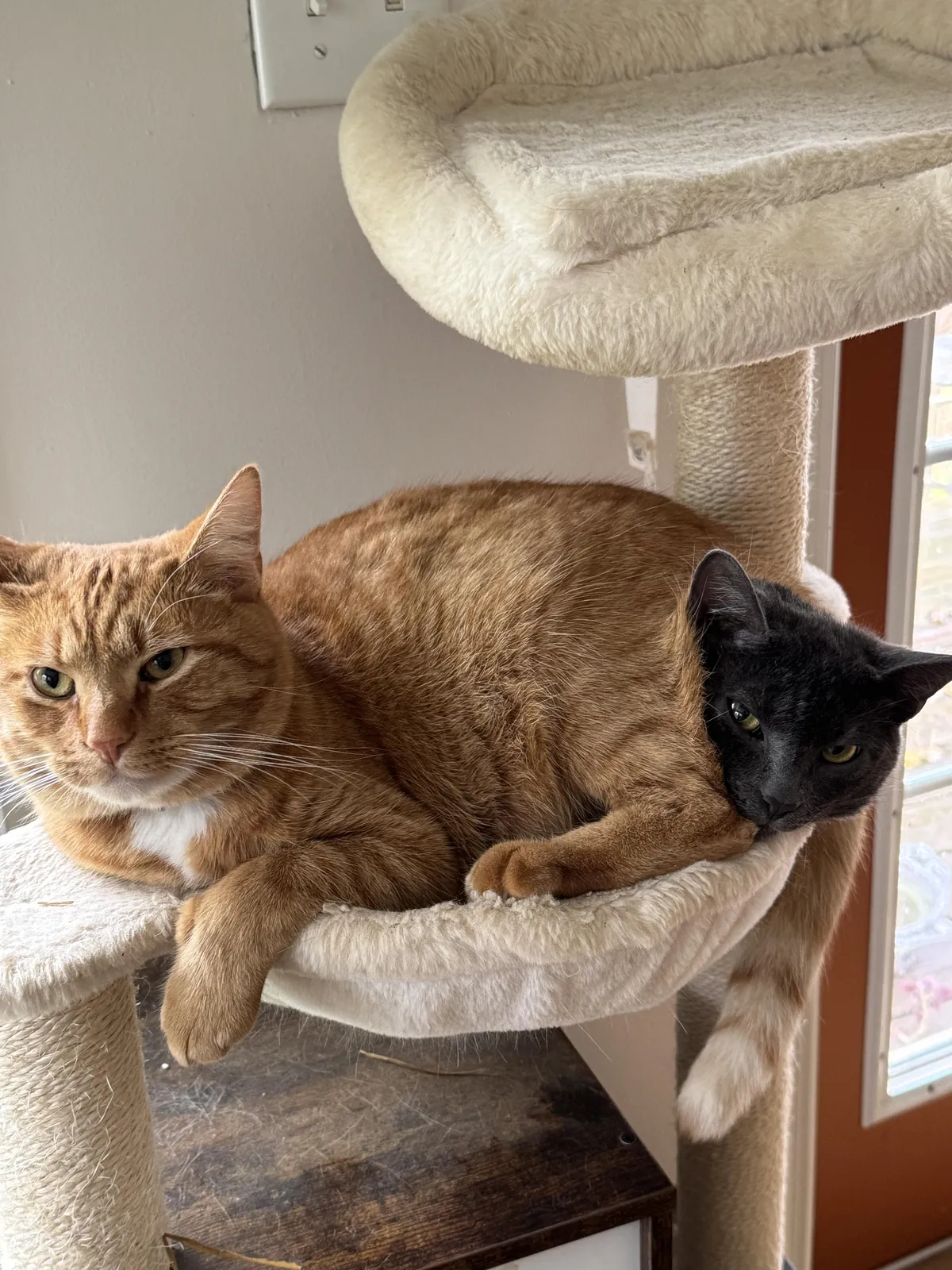 Think they have enough room?