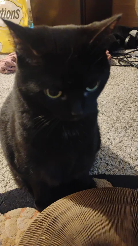 The post that changed my life and gave me my girl