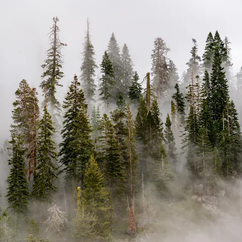 Yosemite National Park- CA [4000x4000][OC] 