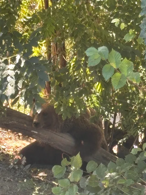 Switzerland, September 2025