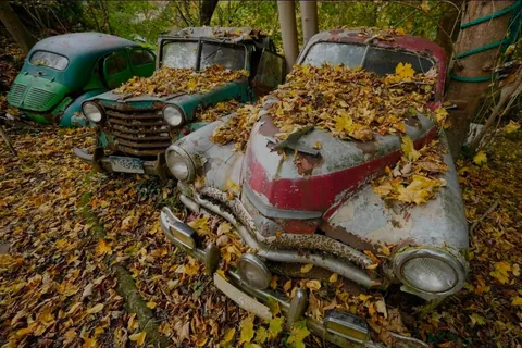 A vintage car graveyard in western Germany
