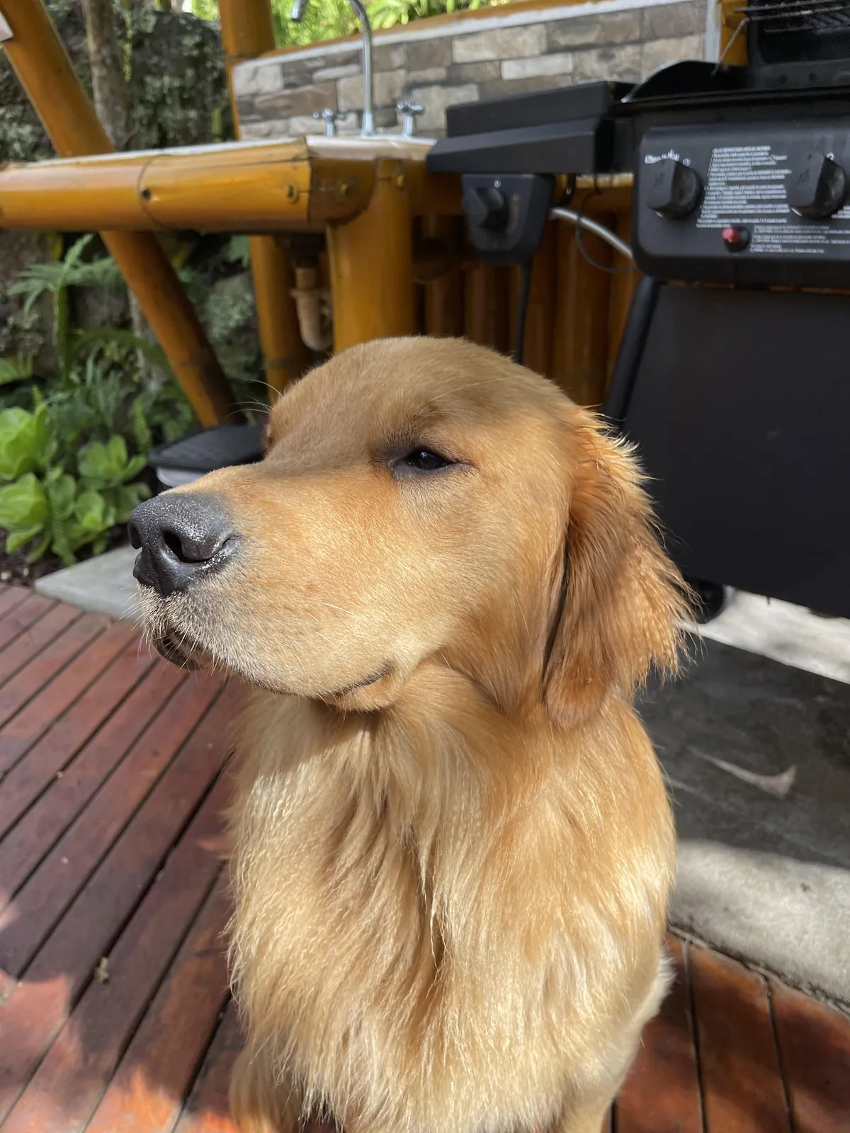 I'm waiting for my mom to make me a barbecue 😂