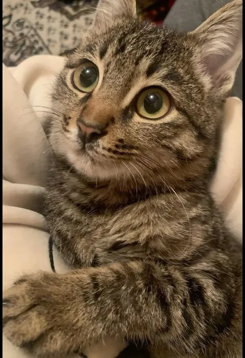 How would you describe this face in one word?