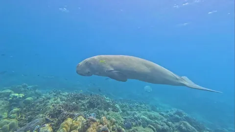 Some clicks from my recent visit to Andaman and Nicobar Islands, Union territory of India