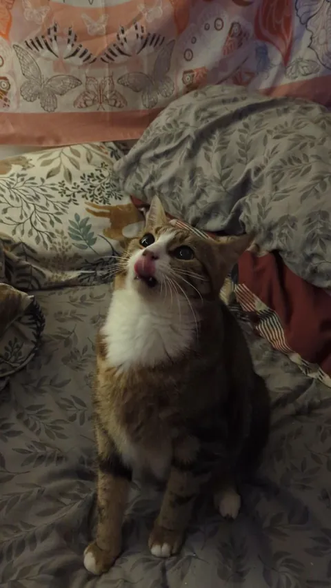 This is Ponyo, she melts my heart every single day.