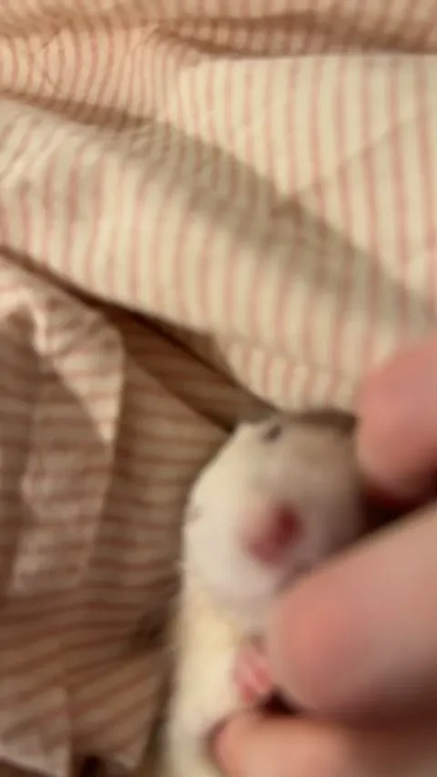 Tell my baby she’s pretty