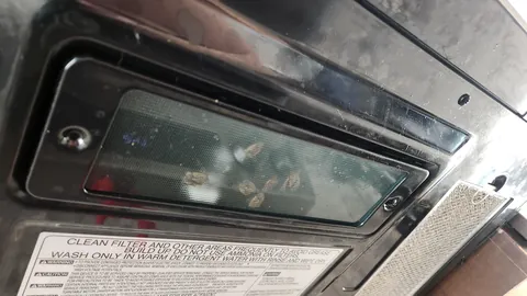 Found out why my cat always stares at the microwave.