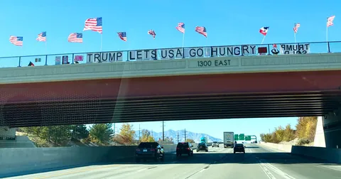 "FUND SNAP!" Overpass Protest - SLC 11.8.2025 [OC]