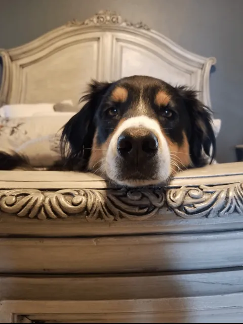 Wife wanted a built-in headboard