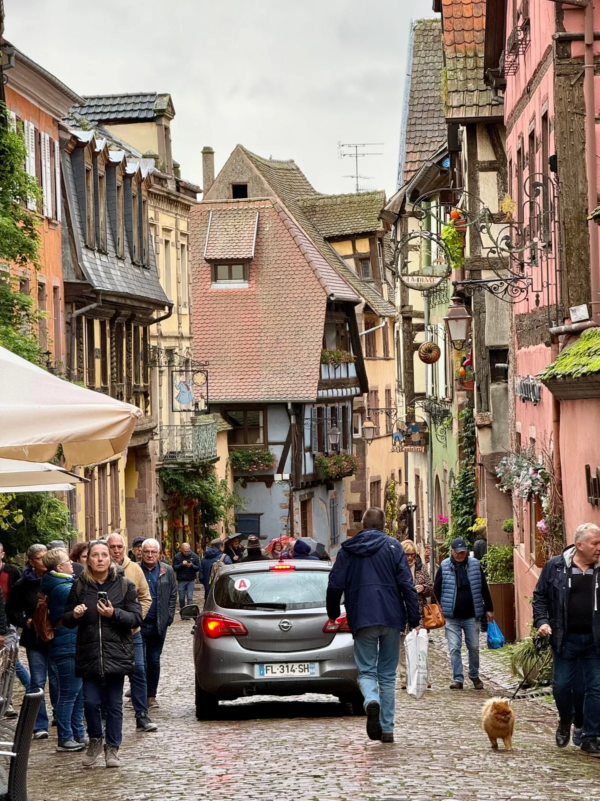Colmar and Riquewihr, France