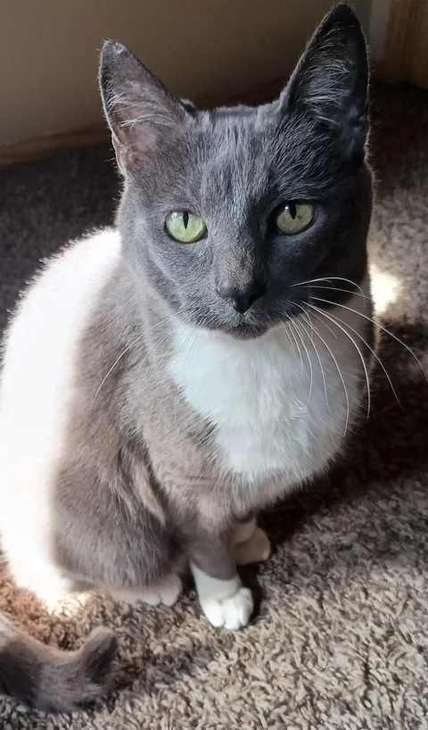 My 16 year old girl. Show me yours!