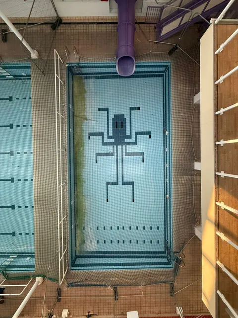 Abandoned swimming pool mosaic.