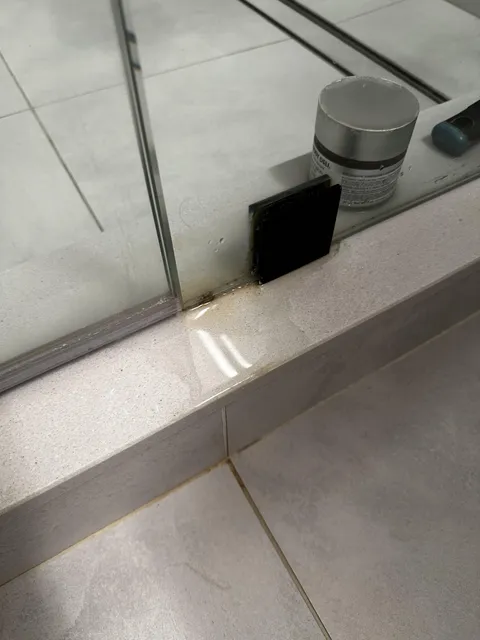 Glass shower door is leaking. I’ve tried nothing, and I’m all out of ideas