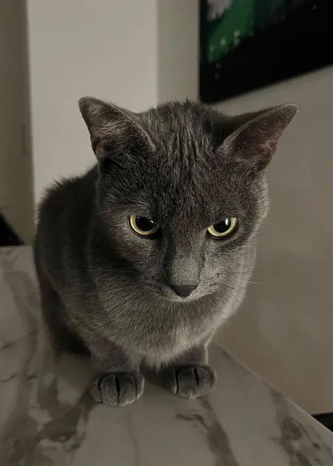 Meet Grace, Don’t get fooled by her cuteness she’s pure evil