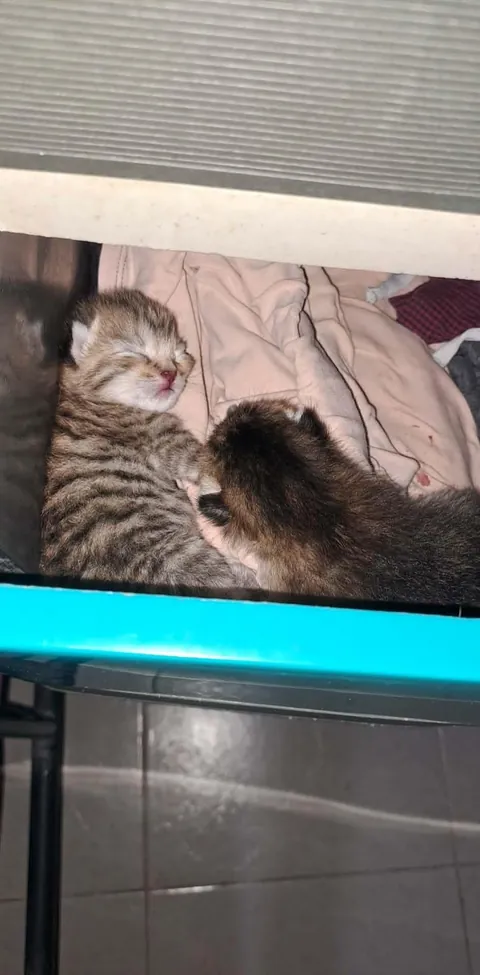 Milk drunk cuties 😂