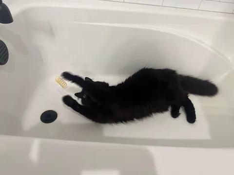 Tub time with my son