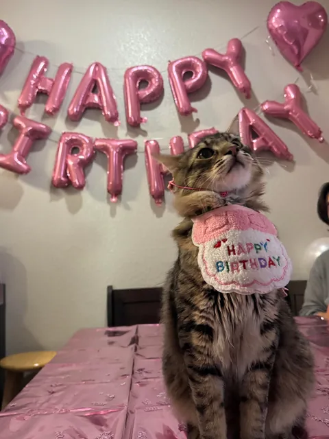 Look at this birthday boy