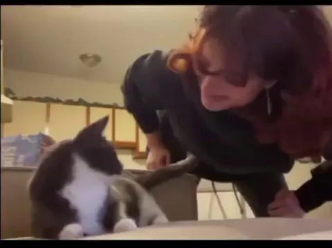 Easy Technique To Give Your Cat Medicine